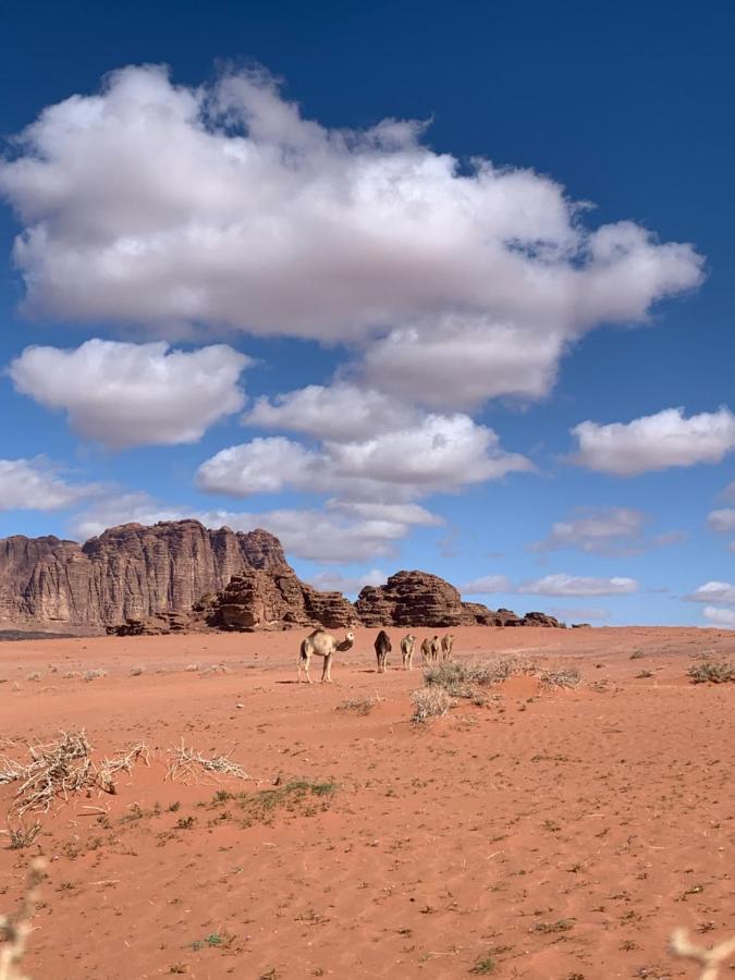 Wadi Rum Story Exterior foto